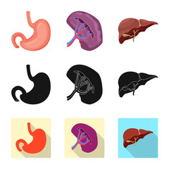 Vector illustration of body and human logo. Collection of body and medical vector icon for stock.