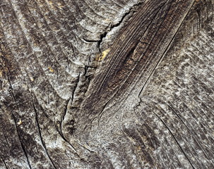 Detail of old wood board