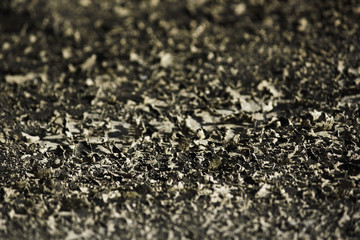 Dried-up Lichen Flakes On A River-Side Stone Face Surface Close-up