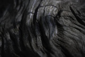 Cracks And Crevices In Natural Weathered Wood Surface