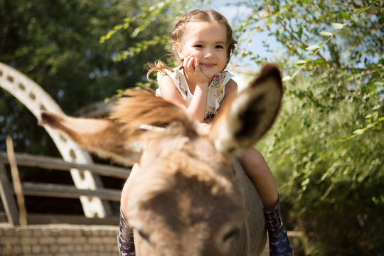 little girl sits on a donkey  is resting on a farm in the summer