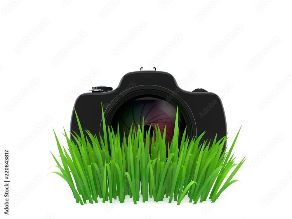 Wall mural Camera on grass