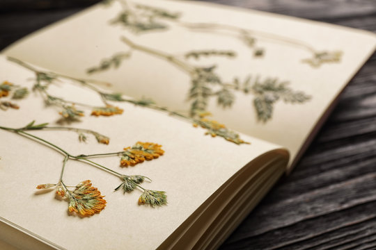 Wild dried meadow flowers in notebook on table, closeup