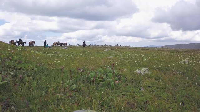 Group of horse riders having fun in the mountains. Clip. Group of people on horseback on nature