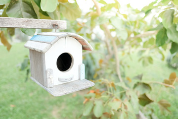 Little Birdhouse in Garden of Thailand