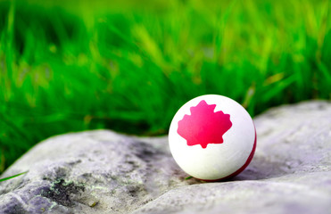 a solid rubber white ball on which is drawn a maple leaf symbol of Canada. The background is green grass
