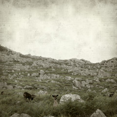 textured old paper background