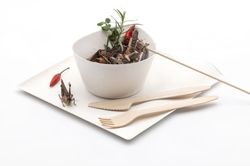 Geschirr aus Zuckerrohr mit gebratenen Insekten