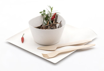 Insekten gebraten auf Geschirr aus Zuckerrohr