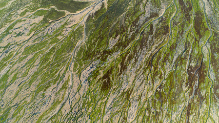 Natural shapes and patterns in Bonne Anse bay, in La Palmyre at low tide