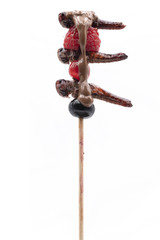 Heuschrecken mit Früchten und Schokolade am Spieß , nachhaltig- und gesundes Biofood.