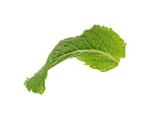 Fresh green mint leaf on white background