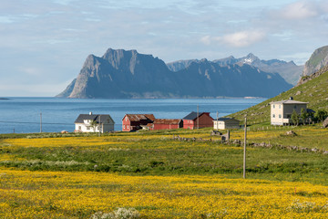 Landscapes and mountains of Norway Lofoten fjords.