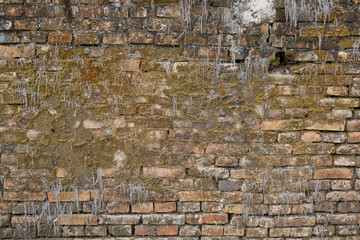 grunge abstract background texture