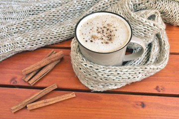 Mug of hot chocolate with whipped cream and cinnamon.