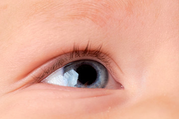 Obraz premium eye close-up with protein and in color