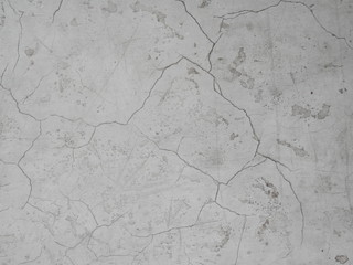 全体的に罅割れた白い壁