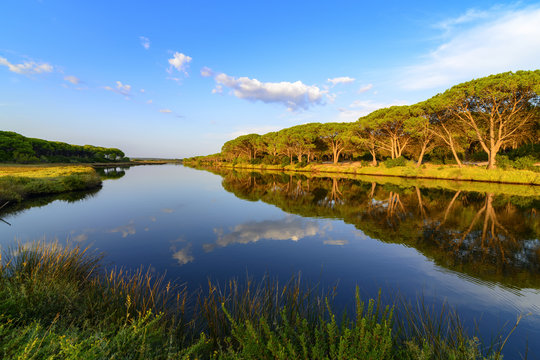 Panorama of the Osala River