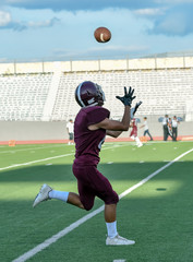 Football player making an amazing catch during a football game © Joe