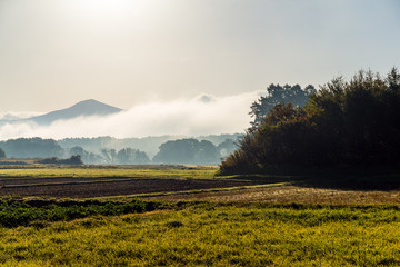 Beautiful morning landscape