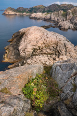 Sunbathed rock faces