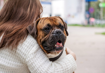 girl with long brown hair and a white sweater hugs a dog a German boxer, a person photo from the back, the animal looks sideways cuddles to the girl, in the background the city is blurry