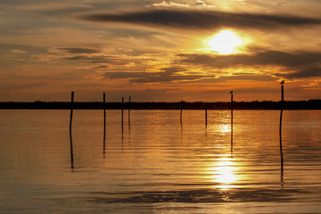 golden sunset landscape of lake with pilings and birds
