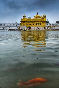 Amritsar, Golden Temple, Amritsar Tourism, Punjab, Amritsar Tourist Places, Sri Harmandir Sahib, Darbar Sahib, Gurdwara, Sikhism, Sikh, Pilgrimage, Guru Arjan, Ath Sath Tirath, Shrine, Temple, Religio