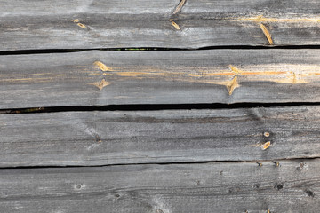 wooden gray background texture many scratches pine