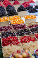 Variety of Berries in a Produce Market