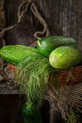 Green fresh cucumbers in a wicker basket.
