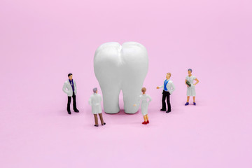 Miniature dentist and nurse 