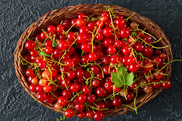 Fresh red currant berries in a wicker basket