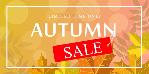 Limited time autumn sale banner horizontal. Flat illustration of vector limited time autumn sale banner horizontal for web design