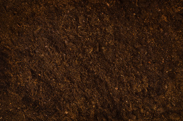 Fertile soil texture background seen from above, top view. Gardening or planting concept with copy space. Natural pattern