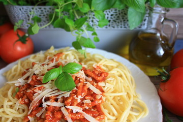 Makaron z sosem spagetti na białym talerzu na tle donicy z ziołami, oliwy i pomidorów