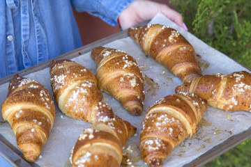 Homemade fresh croissants