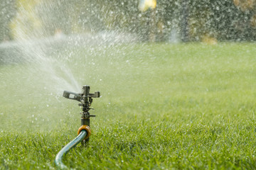 Fototapeta na wymiar Garden irrigation system watering lawn. watering the lawn in the hot summer. Lawn sprinkler spaying water over green grass. Irrigation system. Automatic watering lawns. Gardening.