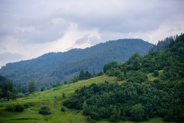 Fototapeta na wymiar Nature in the mountains, beautiful scenery, beautiful mountain scenery, the Carpathian Mountains