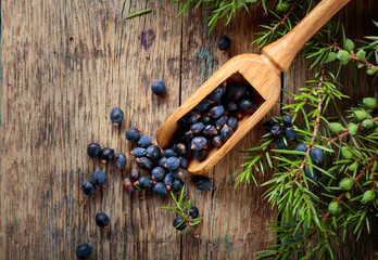 Juniper branch and wooden spoon with berries on a wooden background.