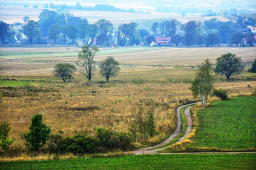 Fototapeta na wymiar Droga i krajobraz wiejski