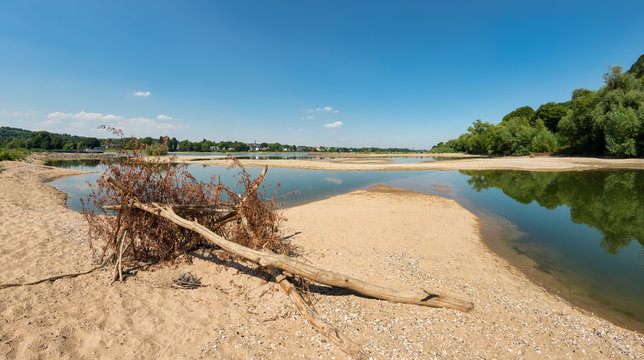 Dried out riverbed with wooden flotsam , Rhine, North Rhine-Westphalia, Germany