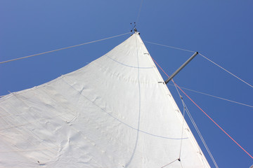 Sailboat In Blue Water