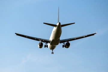 Fototapeta na wymiar Airbus aircraft lands, rear view