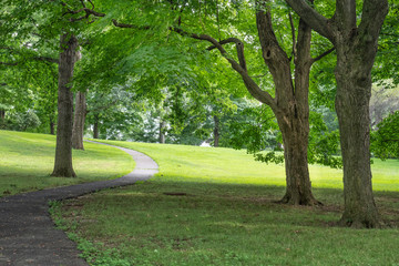 Summer Path Thru the Park