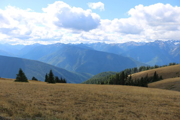 Olympic National park Mountains