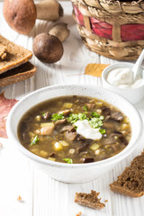 Forest mushroom soup with boletus, potatoes, pearl barley and sour cream. Classic Russian cuisine, delicious healthy vegetarian lunch. Autumn food