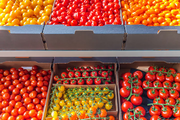 Retail display of diverse fresh yellow, orange and red tomatoes