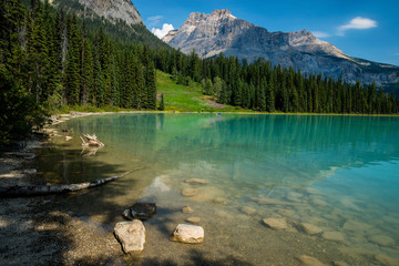 eastern shoreline, emerald lake, canada