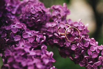 Beautiful wedding rings on a background of lilac